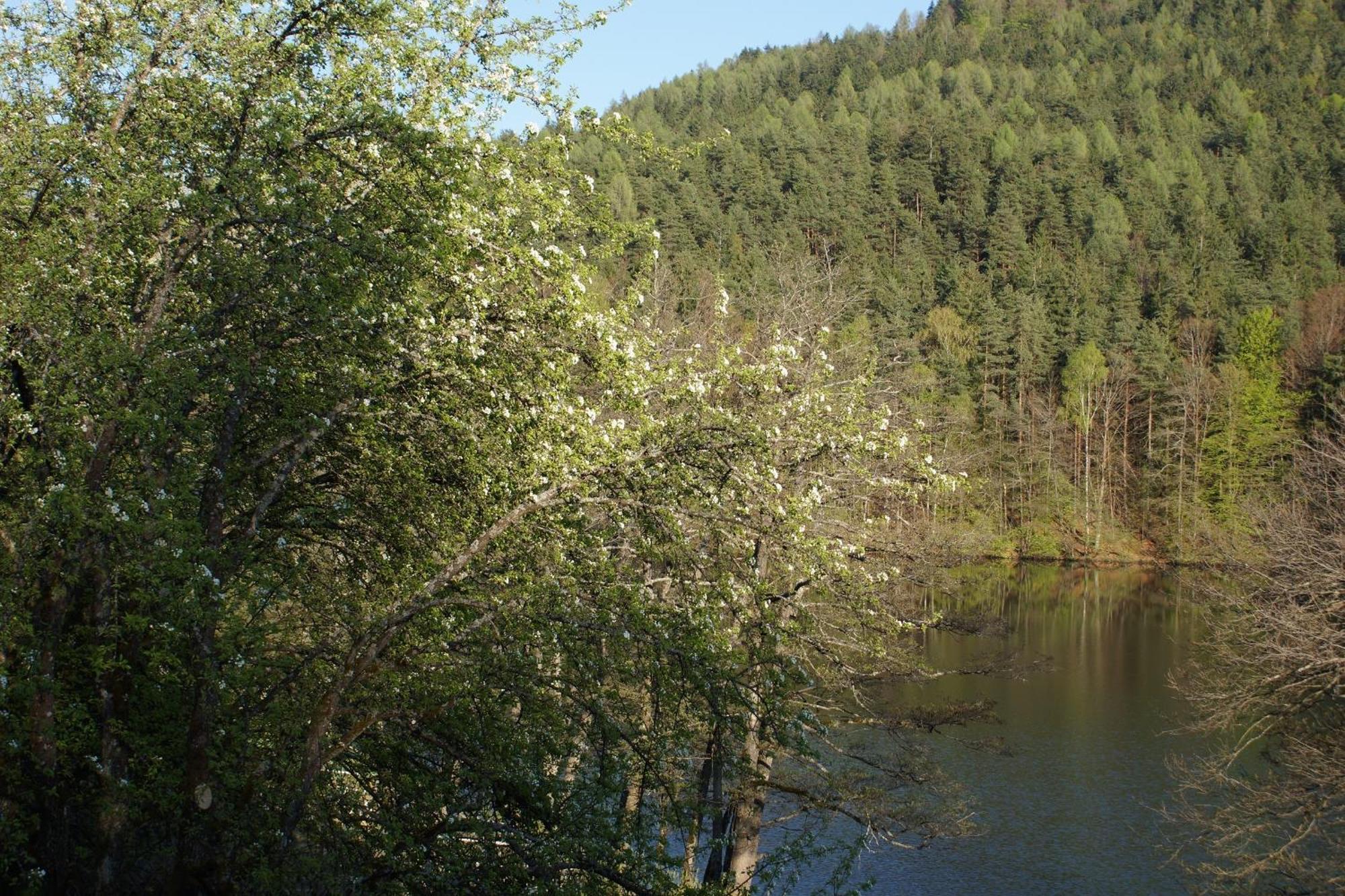 Landgasthof Trattnig Шифлинг-ам-Зе Номер фото