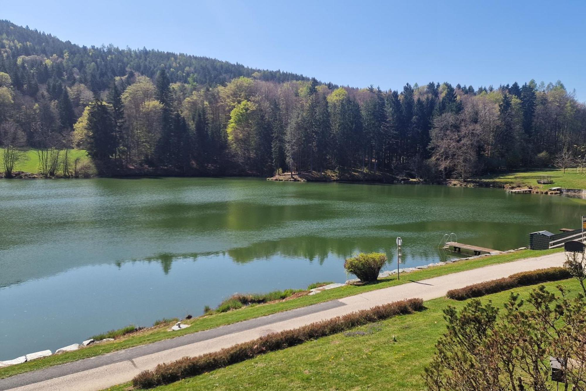 Landgasthof Trattnig Шифлинг-ам-Зе Номер фото