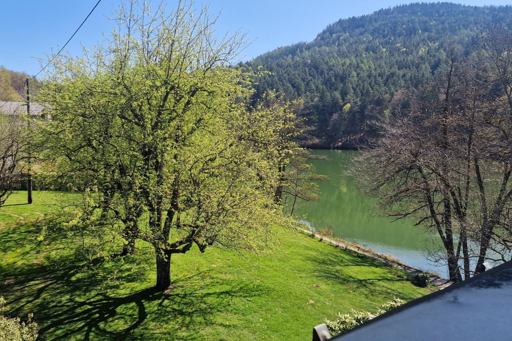 Landgasthof Trattnig Шифлинг-ам-Зе Экстерьер фото