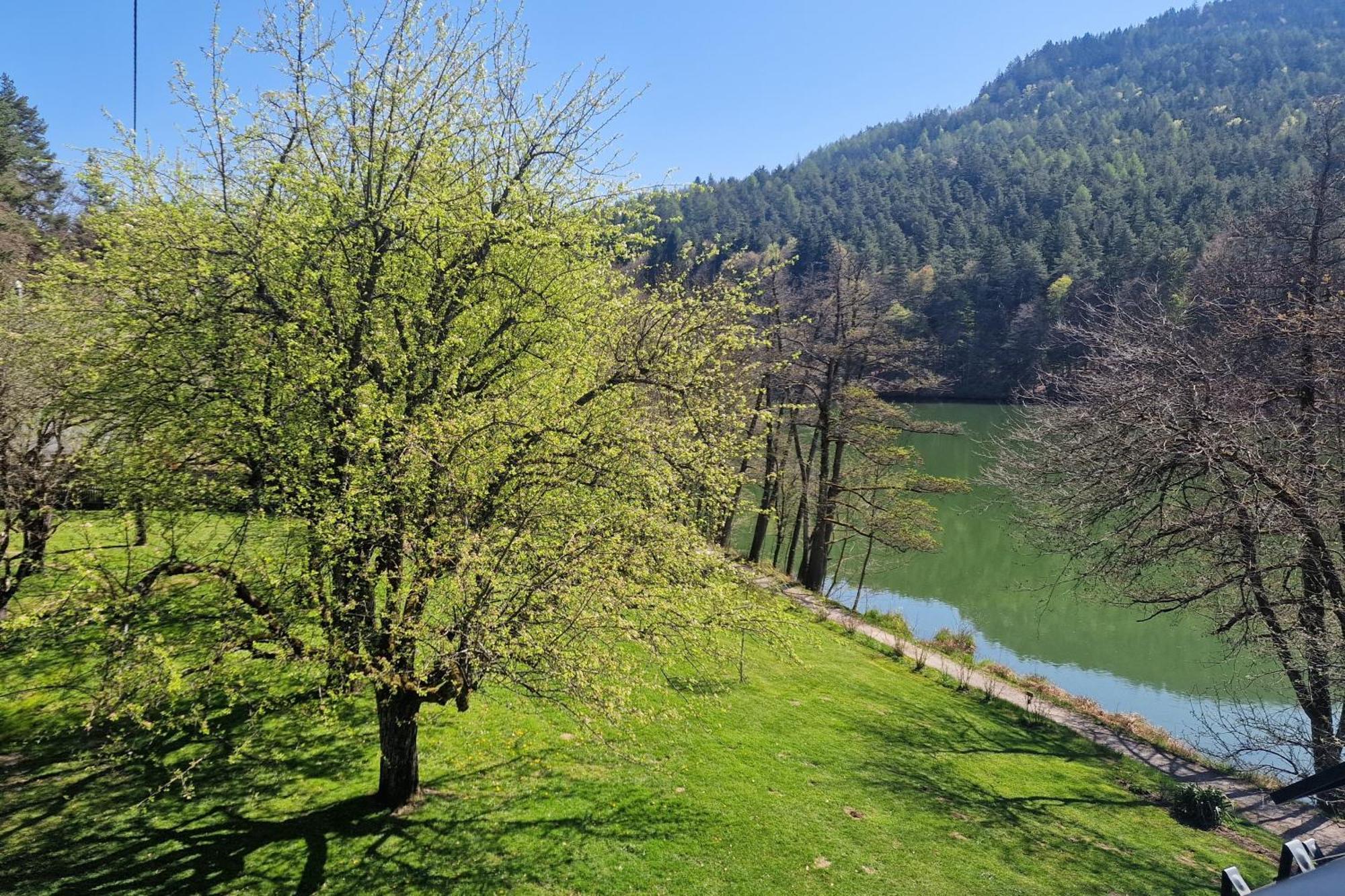 Landgasthof Trattnig Шифлинг-ам-Зе Номер фото