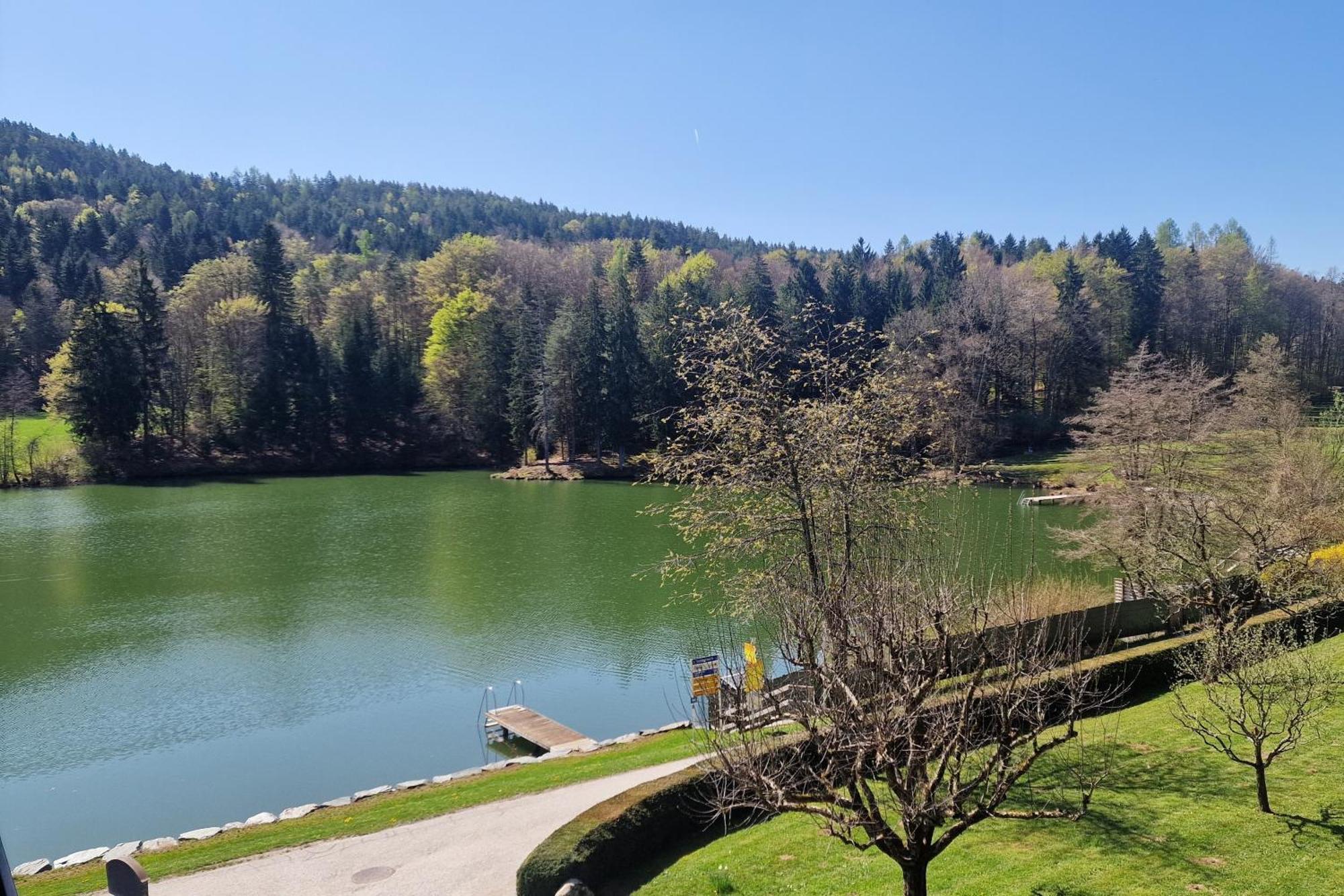 Landgasthof Trattnig Шифлинг-ам-Зе Номер фото