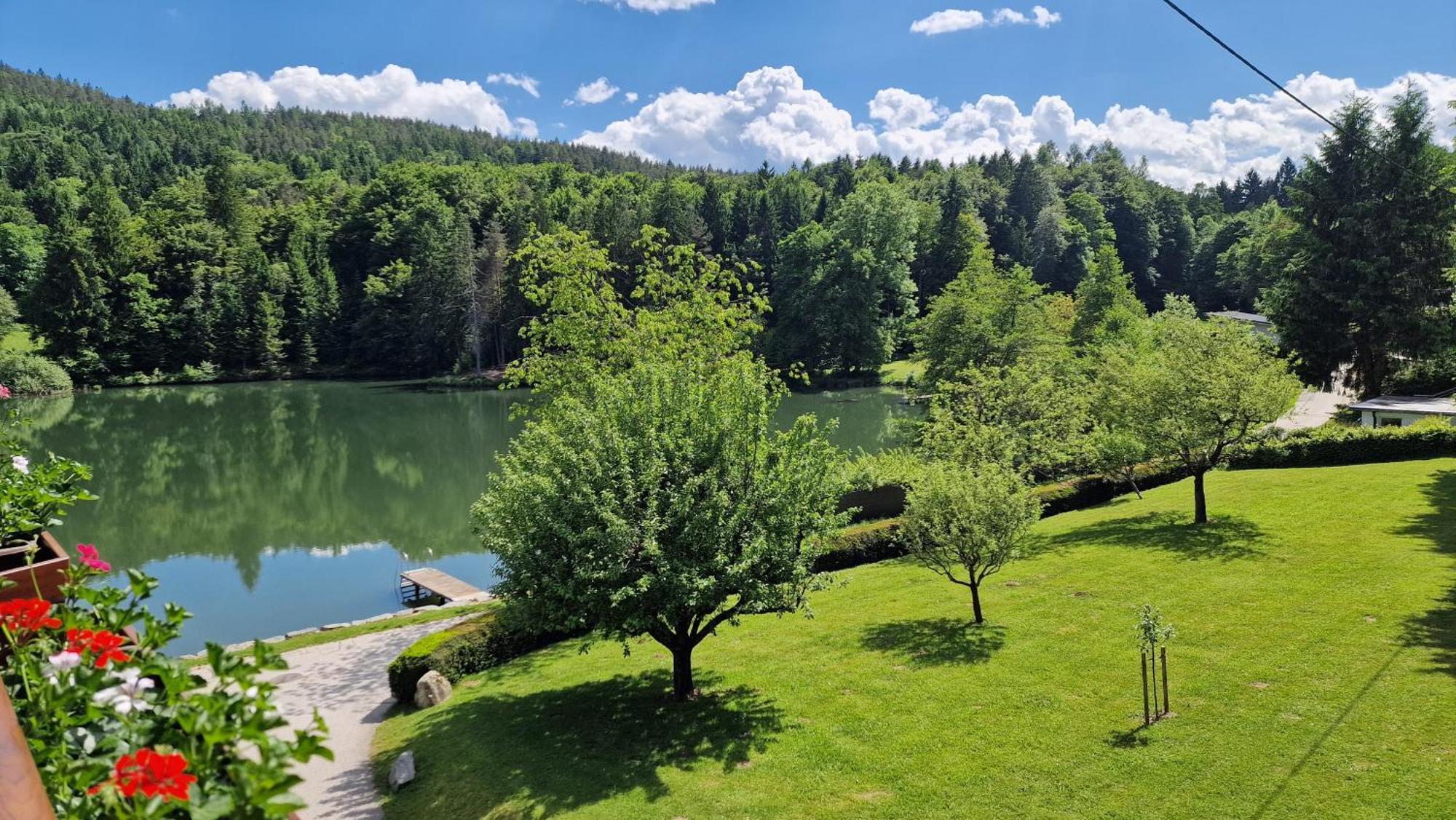 Landgasthof Trattnig Шифлинг-ам-Зе Номер фото